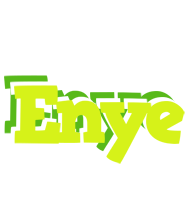 Enye citrus logo