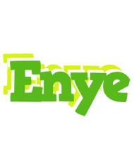 Enye picnic logo