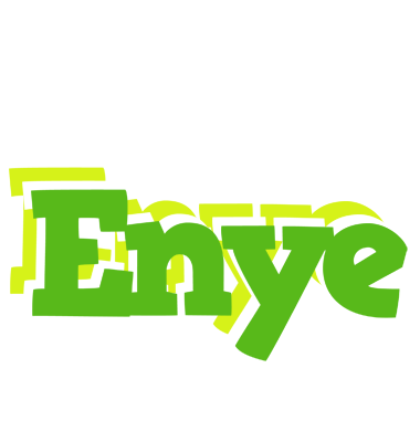 Enye picnic logo