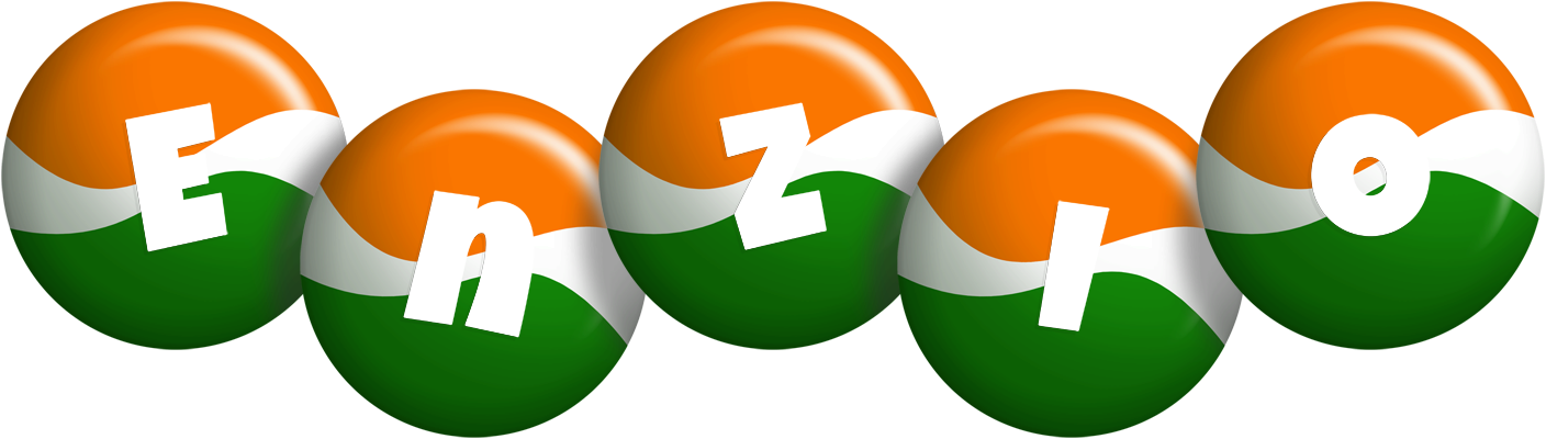 Enzio india logo