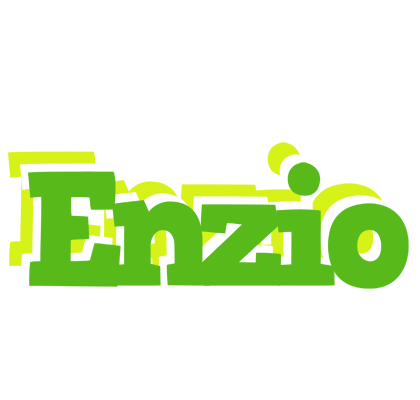 Enzio picnic logo