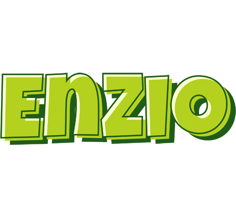 Enzio summer logo