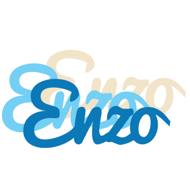 Enzo breeze logo