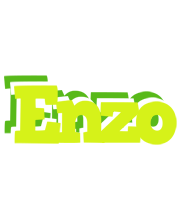 Enzo citrus logo