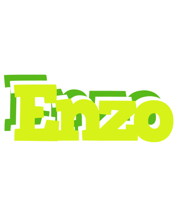 Enzo citrus logo