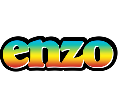 Enzo color logo