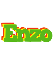 Enzo crocodile logo