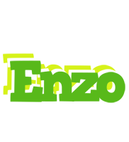 Enzo picnic logo