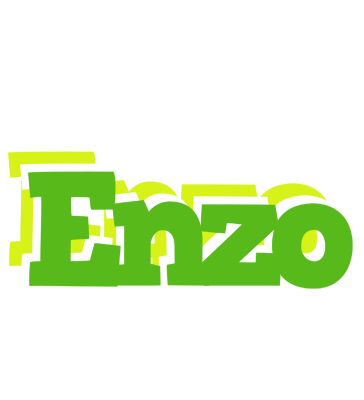 Enzo picnic logo