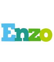 Enzo rainbows logo