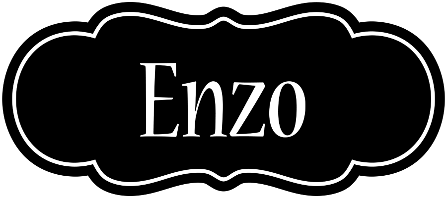Enzo welcome logo