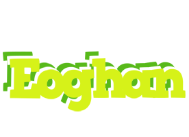 Eoghan citrus logo