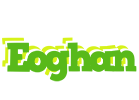 Eoghan picnic logo