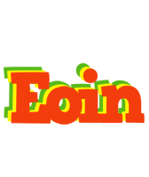 Eoin bbq logo