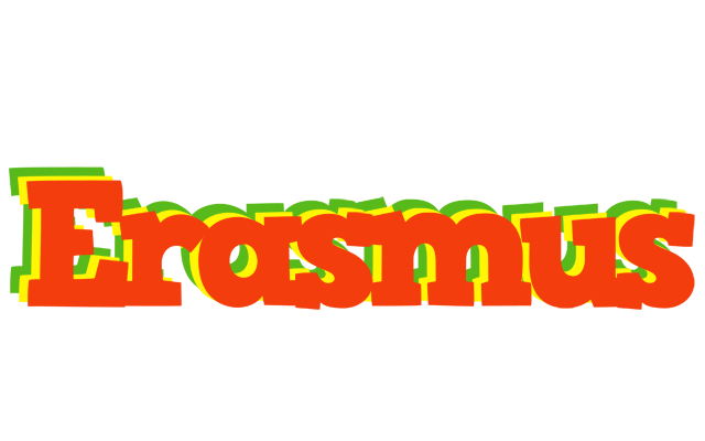 Erasmus bbq logo