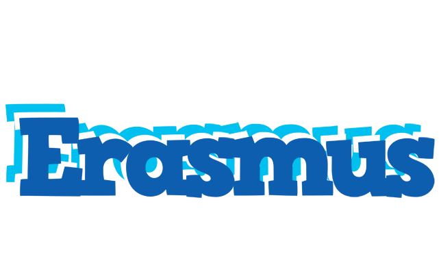 Erasmus business logo
