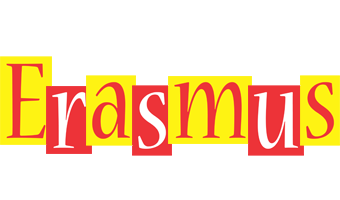 Erasmus errors logo