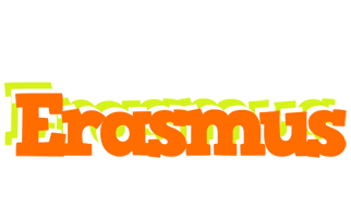 Erasmus healthy logo