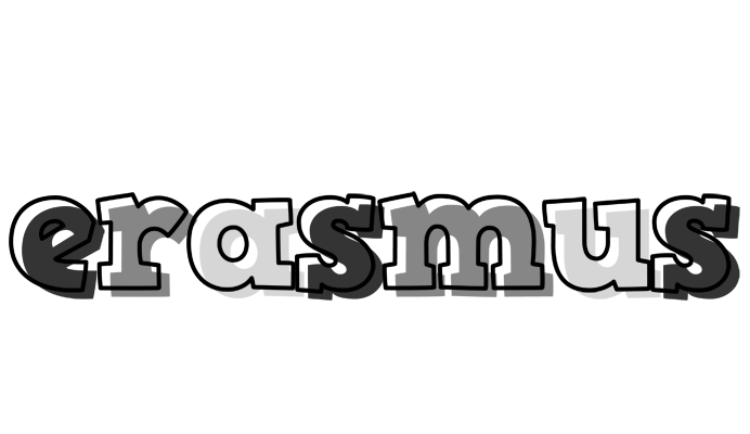 Erasmus night logo