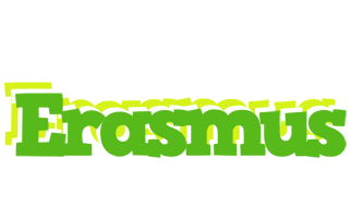 Erasmus picnic logo