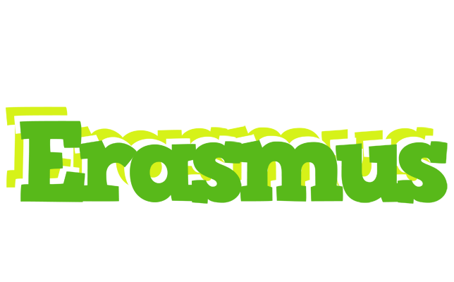 Erasmus picnic logo