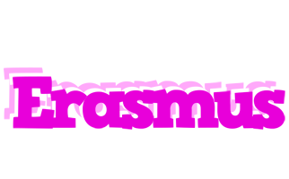 Erasmus rumba logo