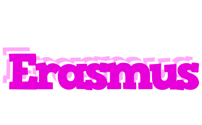 Erasmus rumba logo