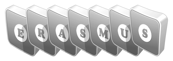 Erasmus silver logo