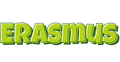 Erasmus summer logo