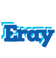 Eray business logo