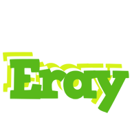 Eray picnic logo