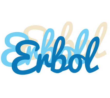 Erbol breeze logo