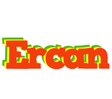 Ercan bbq logo