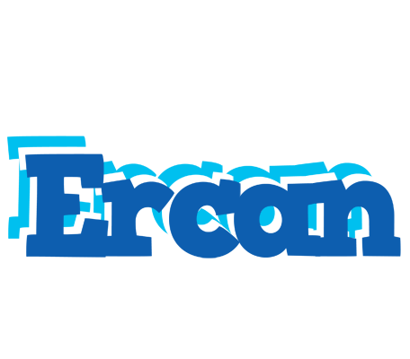 Ercan business logo