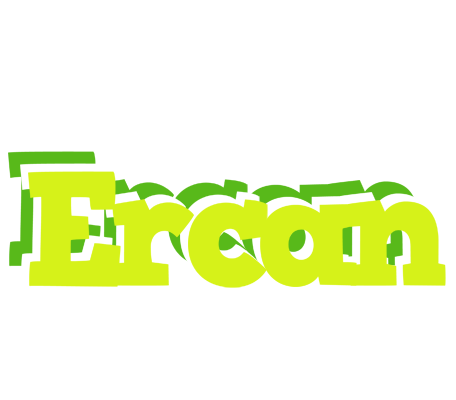 Ercan citrus logo