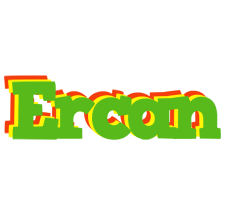 Ercan crocodile logo