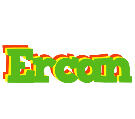 Ercan crocodile logo