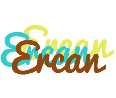 Ercan cupcake logo