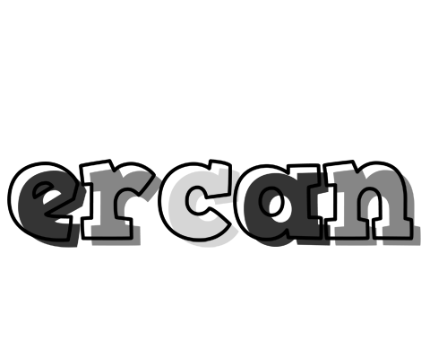 Ercan night logo