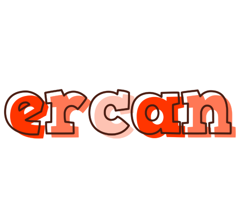 Ercan paint logo