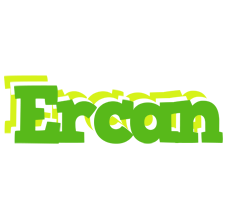 Ercan picnic logo