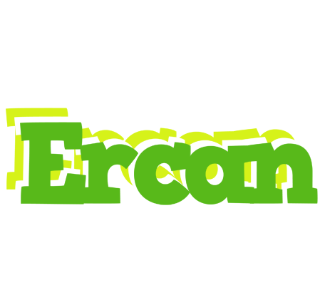 Ercan picnic logo