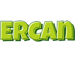 Ercan summer logo