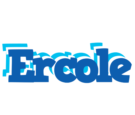 Ercole business logo