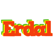 Erdal bbq logo