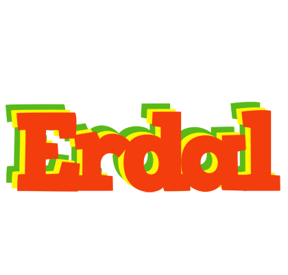 Erdal bbq logo