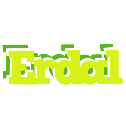 Erdal citrus logo