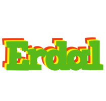 Erdal crocodile logo