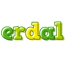 Erdal juice logo