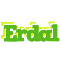 Erdal picnic logo